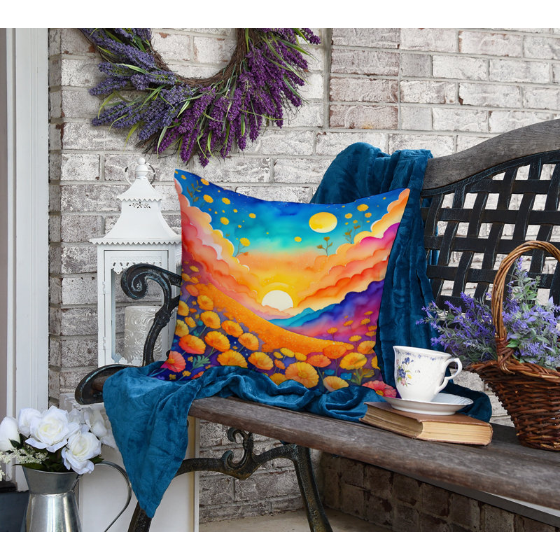 Other/No Pattern Outdoor Throw Pillow, 18" x 18"