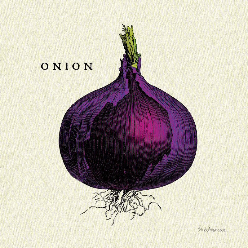 Linen Vegetable III V2 by Studio Mousseau - Wrapped Canvas Print, 91cm H x 91cm W x 3.8cm D