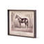 Prized Race Horse Framed Prints