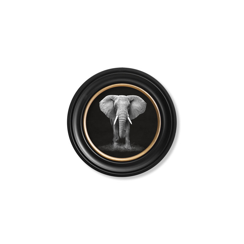 Elephant by Mid-1800s - Single Picture Frame Print on Archival Matt 230gsm Paper