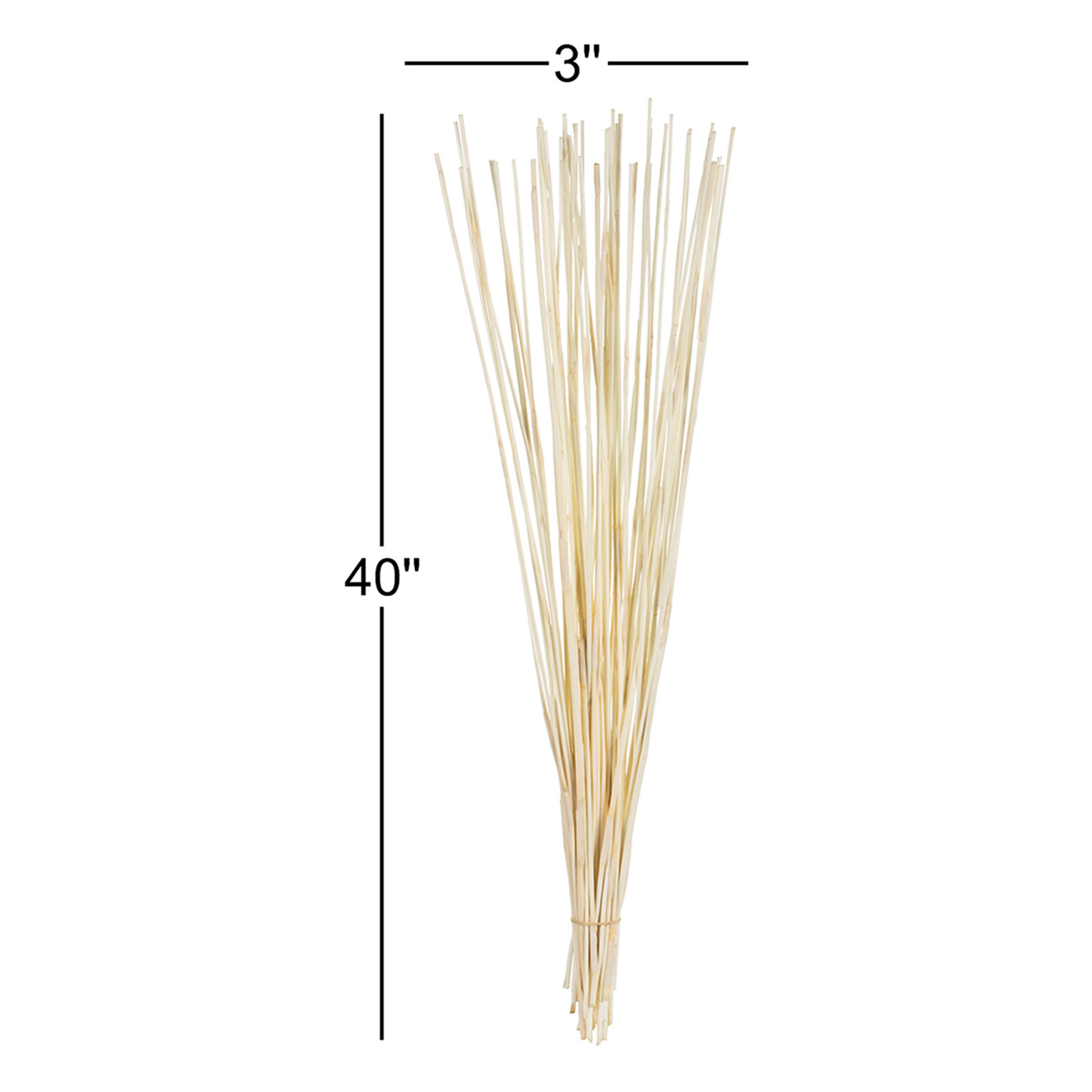 40" Elephant Reed, Dried, Bleached