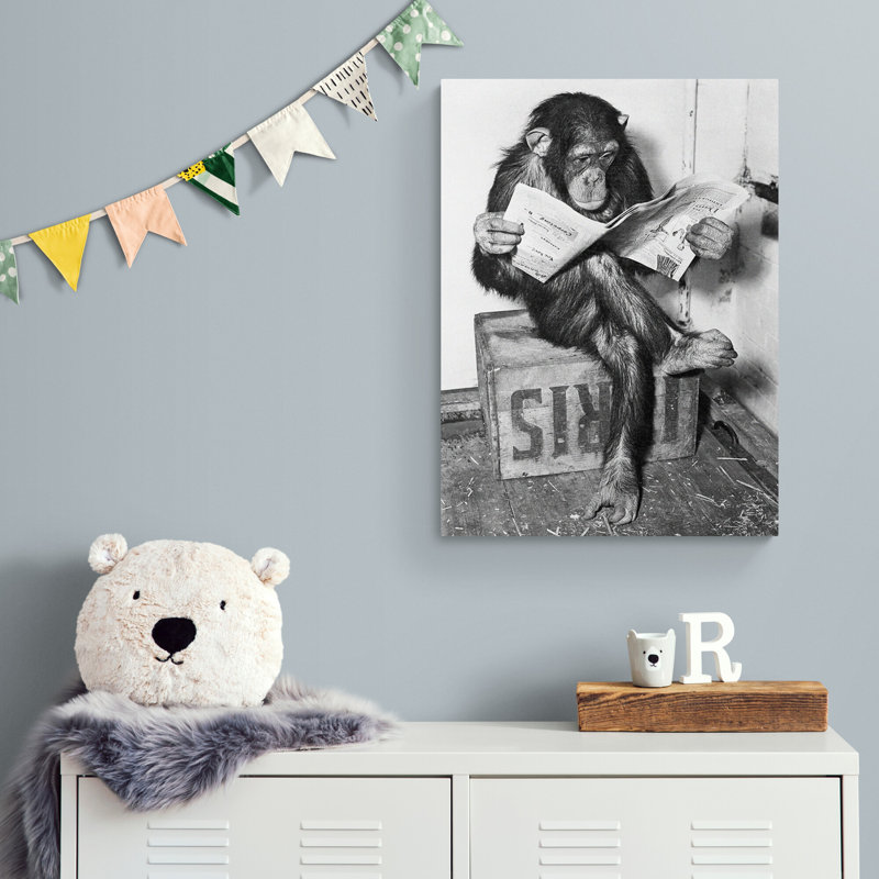 Chimpanzee Reading Newspaper - Wrapped Canvas Print, 31cm H x 21 cm W x 4cm D