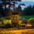 Butterflies Solar Powered Integrated LED Outdoor Lantern (Set of 2) Solar Lighting