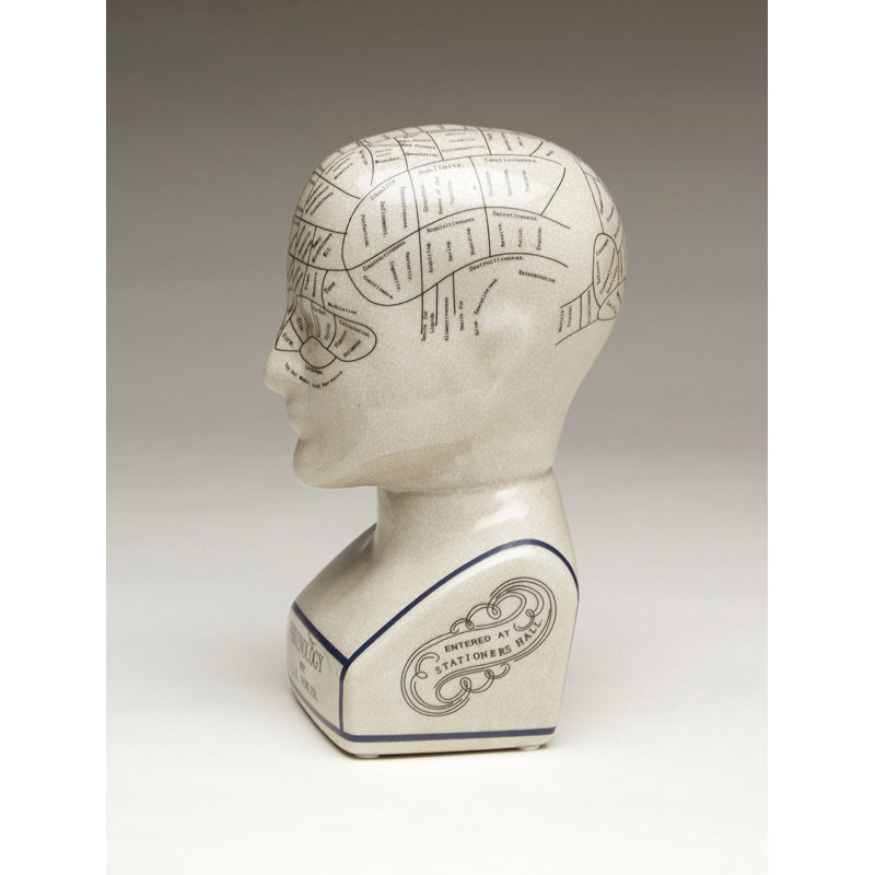 Crackle Phrenology Bust, 9.5" H x 4.5" W x 5" D