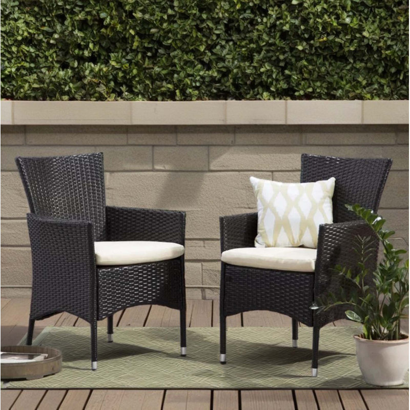 Chaises de salle à manger d'extérieur en osier PE multibrown, ensemble de 2