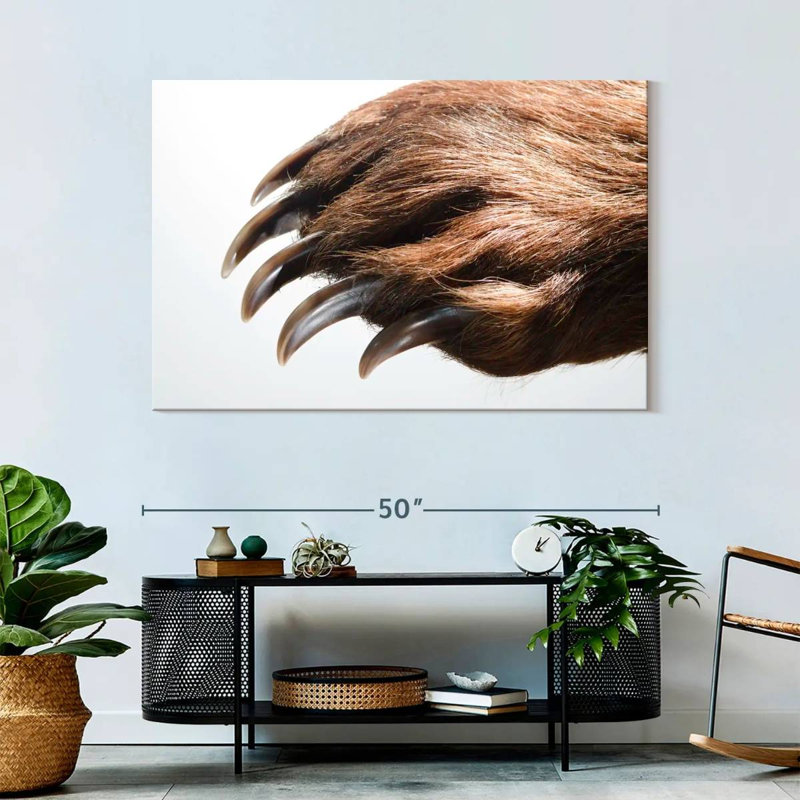 Brampt Brown Bear Claws, 32" H x 48" W