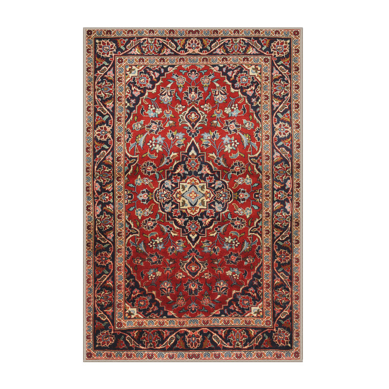 Aina Oriental Indoor Rug, Rectangle 2' x 4'