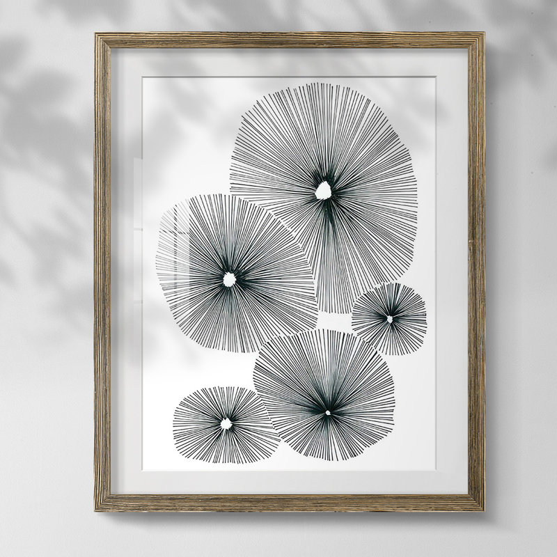 Bloom Spiral II, Blanc, Papier avec cadre noyer