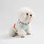 Harnais pour animal de compagnie Arlo-112400935-133570097
