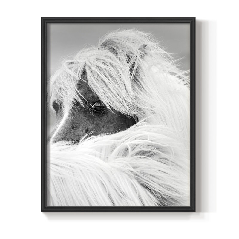 «Island Pony II», reproduction encadrée - bois massif, Noir, H 10 po x l 8 po