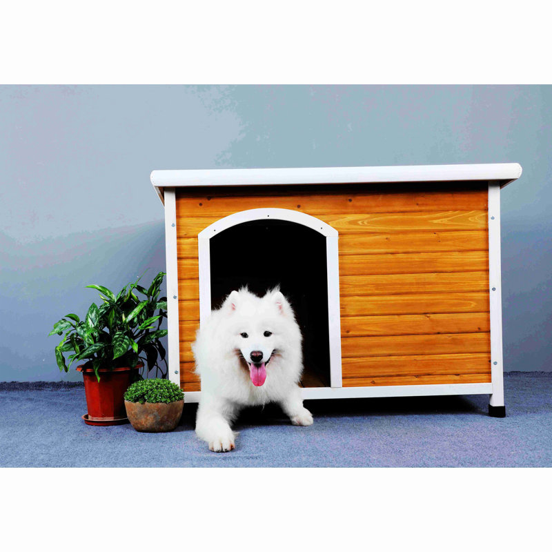 Niche pour chien Demastus, Jaune