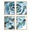 «Green Agave Desert Rose Cactus», ensemble de 4 impressions florales murales, impression encadrée sur papier, 4 pièces-93012235-93012238