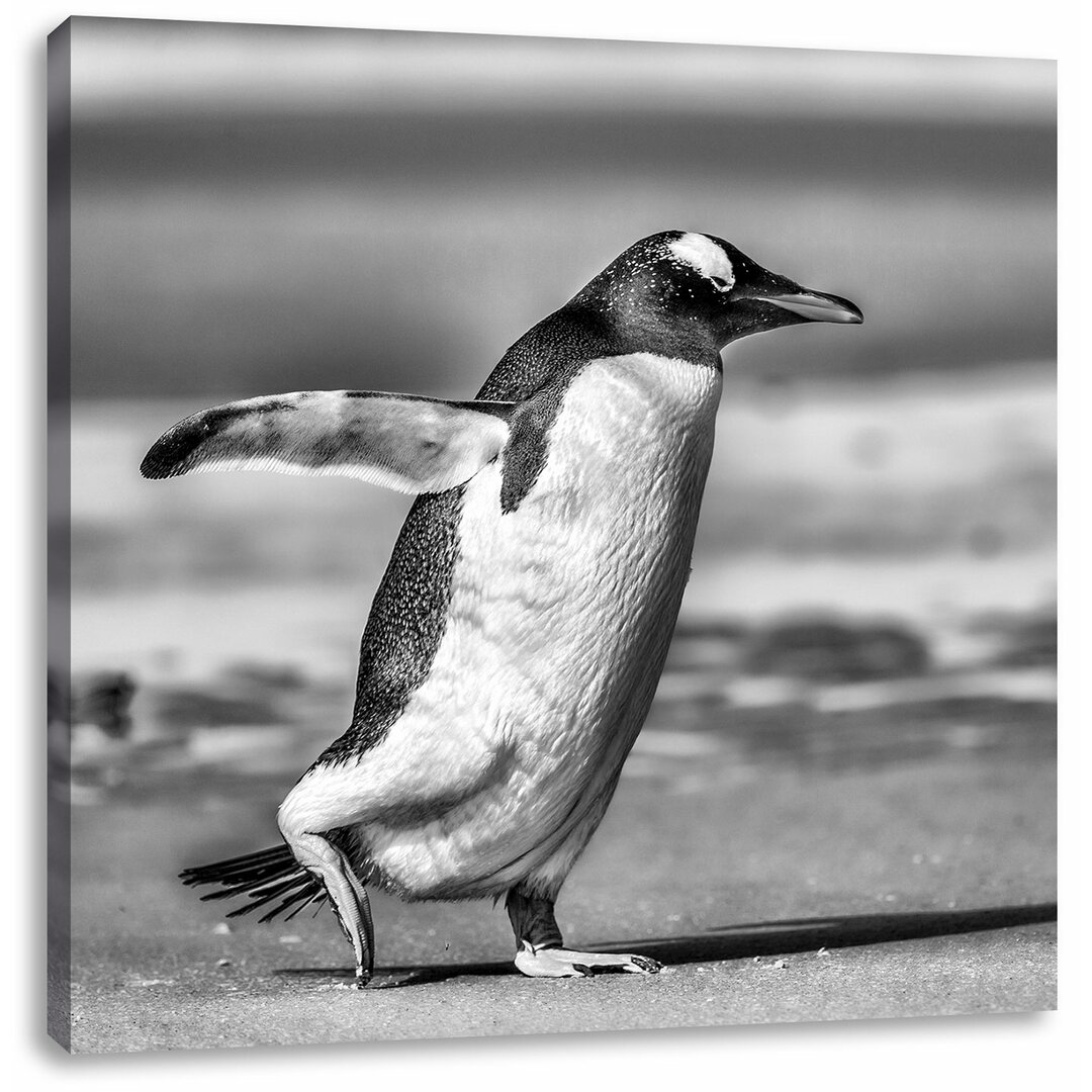 Leinwandbild Pinguin am Strand