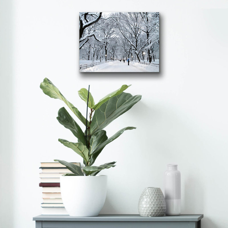 «White Wonder» par Verne Varona, art mural en verre acrylique, H 12 po x l 16 po x P 0,13 po
