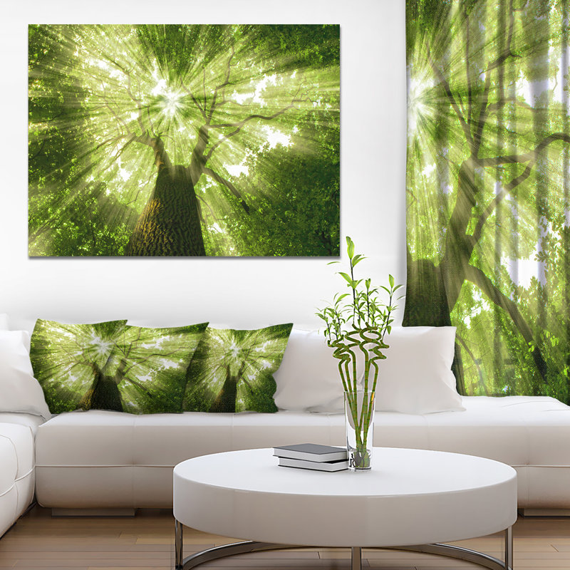 Sunlight Peeking Through Green Tree - impression d'art graphique, H 30 po x l 40 po x 1,5 po, Toile tendue