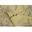 Tapis oriental moderne fait à la main 4 x 6 po