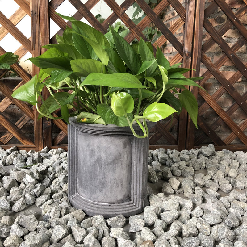 Pot de fleurs Lapp, H 9 po x l 9 po x P 9 po