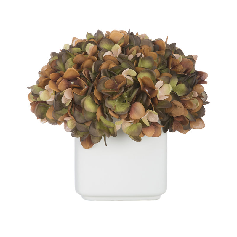Hydrangea Arrangement, Coffee/Sage