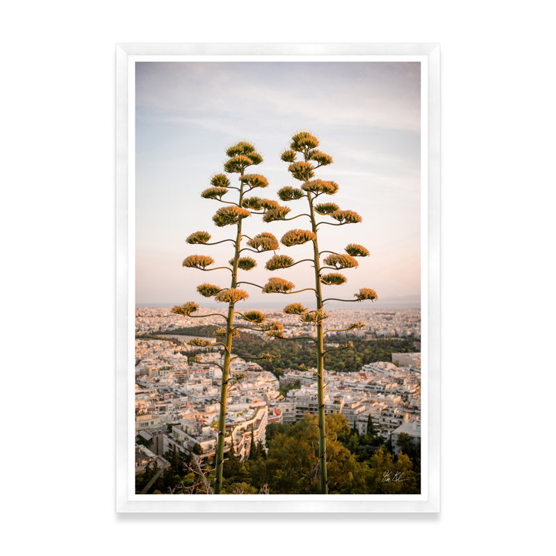Agave sur les hauteurs d'Athènes II, H 54,75 po x l 37,5 po x P 1,5 po, Blanc