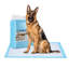 Tapis d'entraînement pour animaux-740508723
