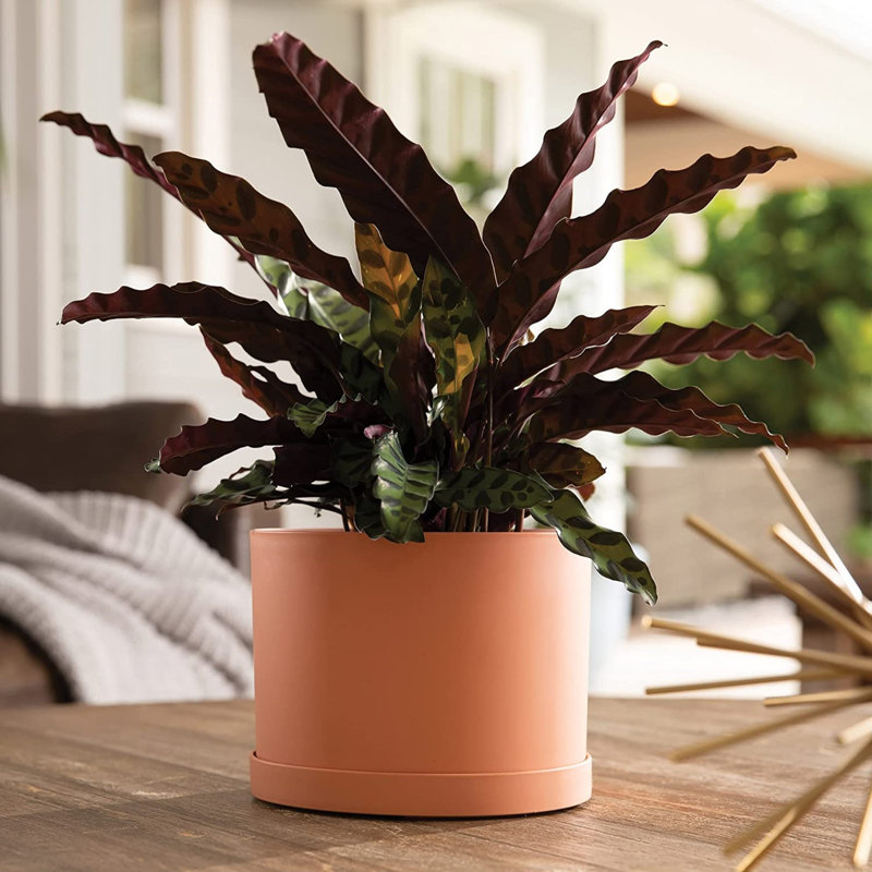 Pot à fleurs rond intérieur / extérieur en plastique moderne avec soucoupe, H 9,5 po x l 9,63 po x P 9,63 po