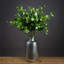 Anastasija Arrangement