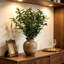 Ensemble de branches d'olivier et de tiges d'eucalyptus artificielles, tiges de verdure artificielle, 4 branches d'olivier et 12 tiges d'eucalyptus pour vase, décoration champêtre, maison, mariage