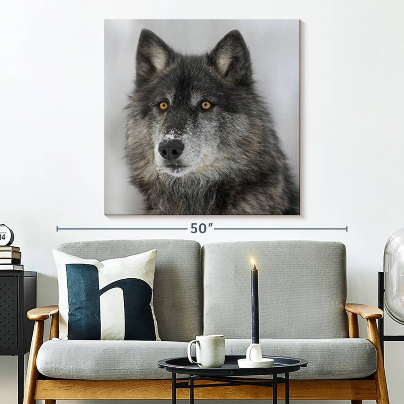 Crowle Surprised Wolf, 33" H x 33" W