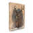 Toile tendue