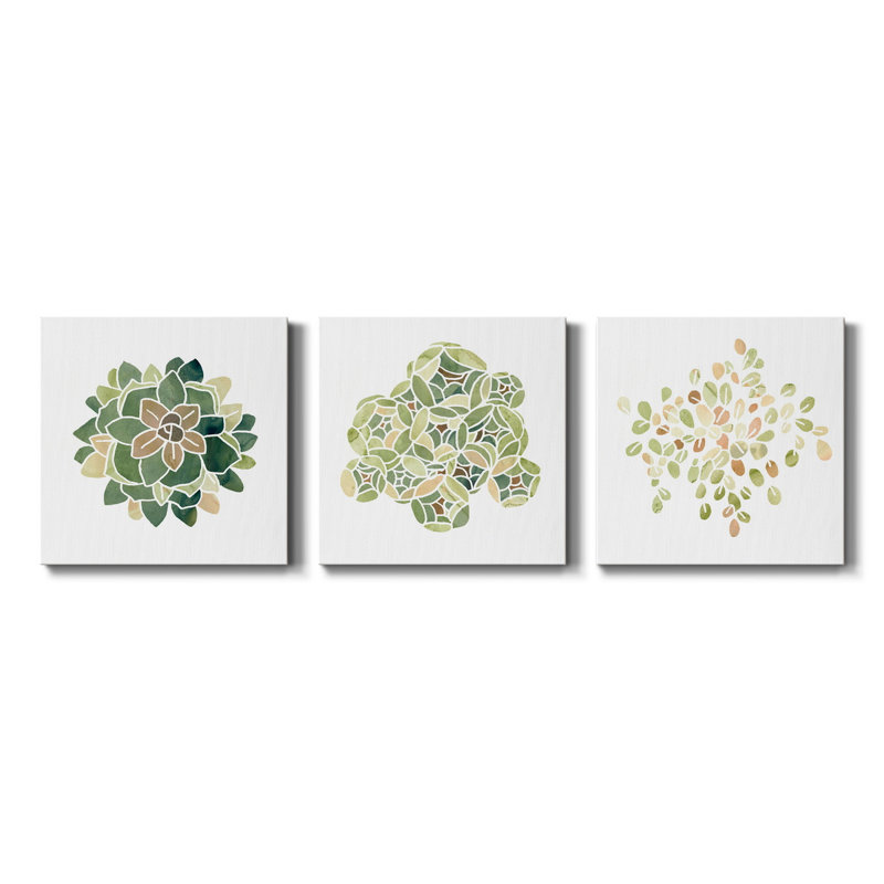 «Succulent Cameo VI», ensemble de 3 toiles tendues, H 40 po x l 80 po x P 1 po
