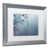 argent