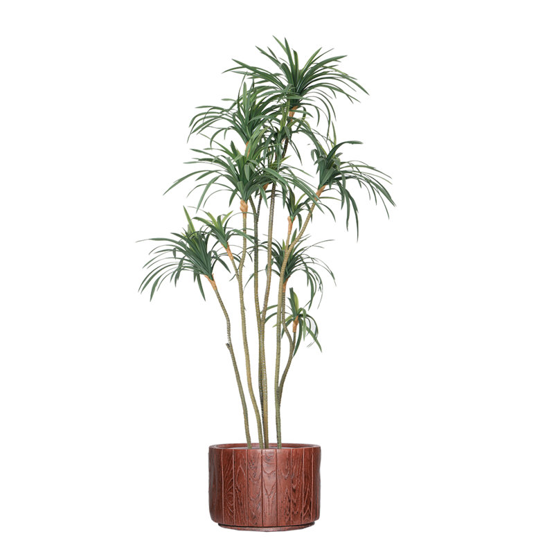 Dragon artificiel 79 po en pot