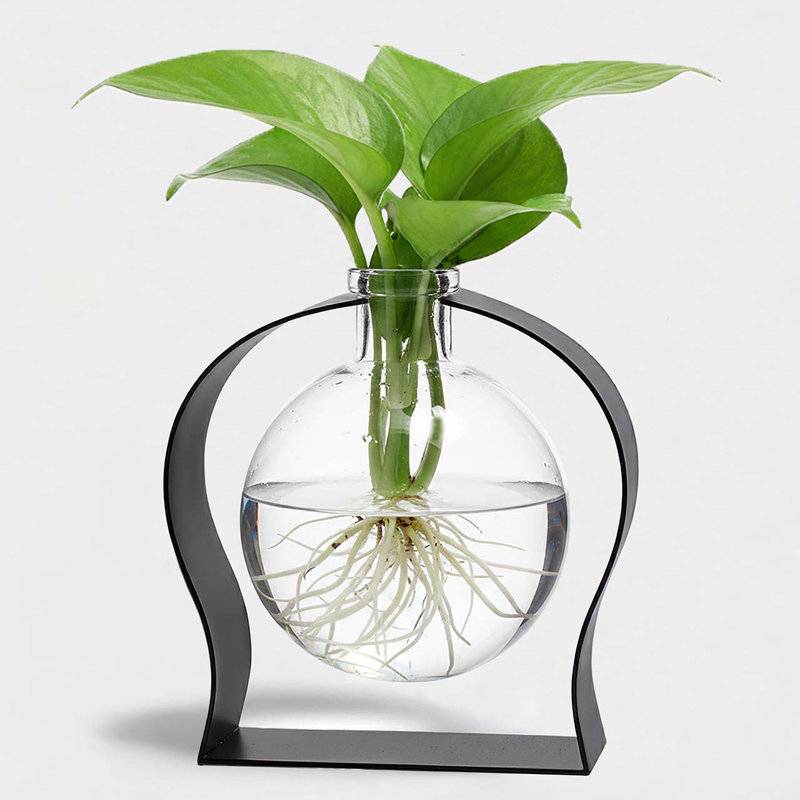 Vase de table en verre recyclé et support en métal arqué Diredra, capacité de 8,5 oz, transparent, Clair