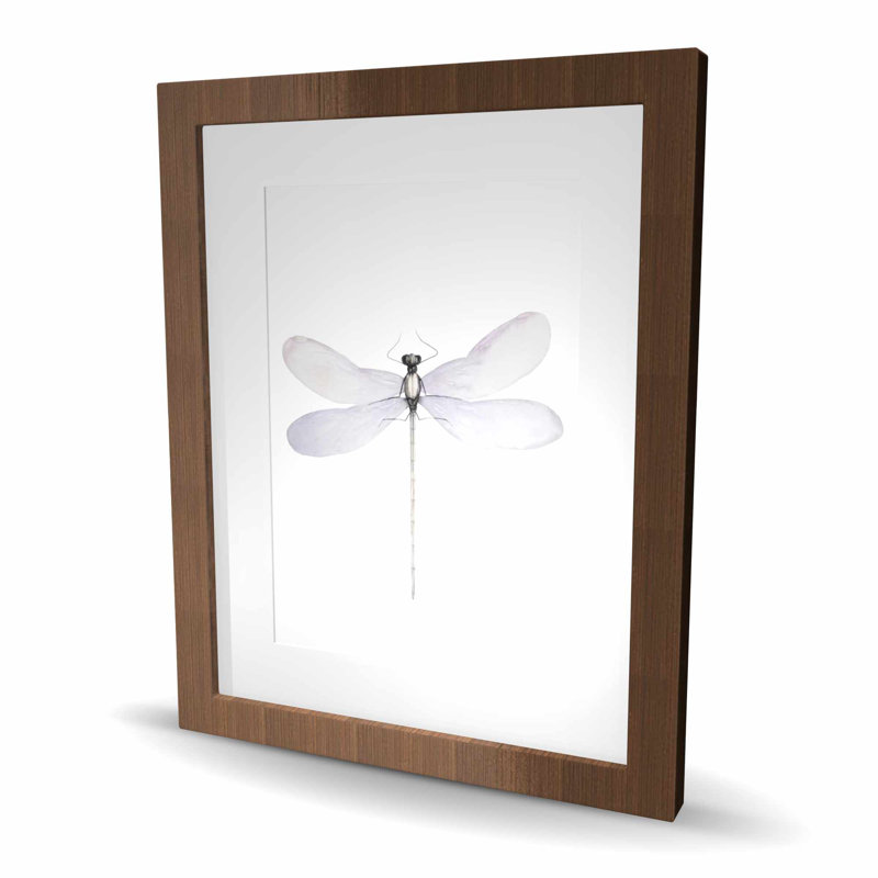 Délicat libellule - insecte mauve, reproduction encadrée