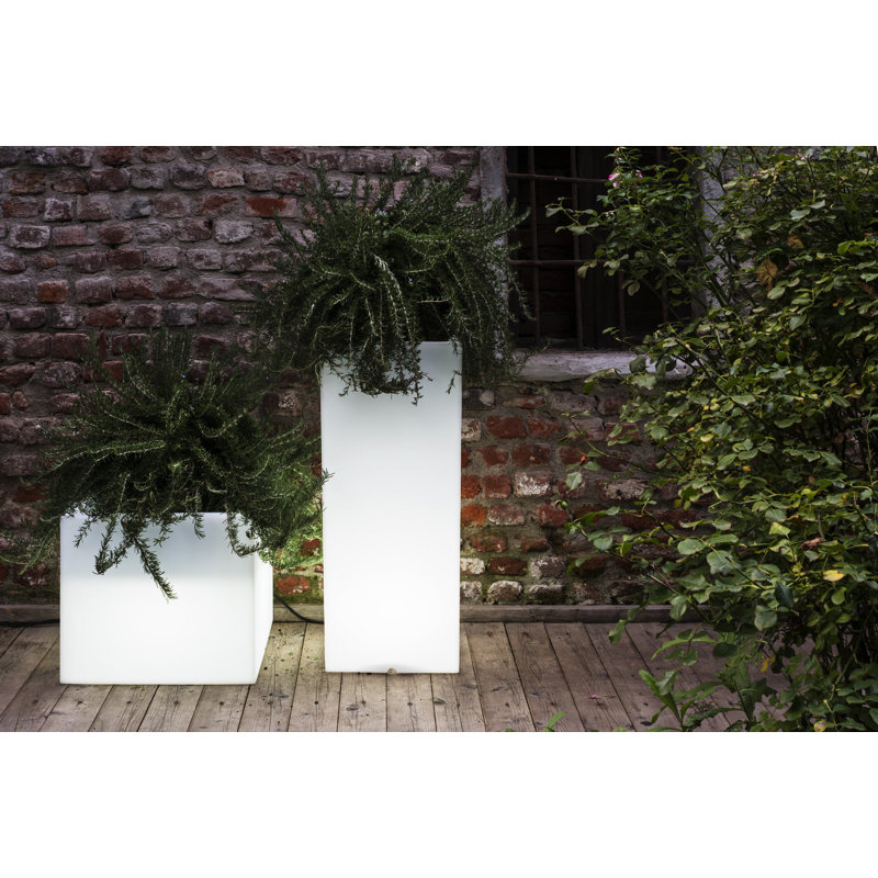 Boîte à fleurs en plastique Cubotti, H 17 po x l 19,5 po x p 19,5 po