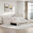 Upholstered Daybed With Trundle, Three Drawers And Vertical Striped Design-870243475-870243470