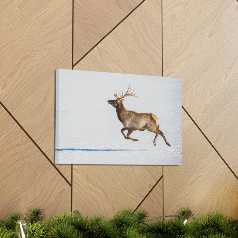 No Frame Print on Canvas, 11cm H x 14cm W