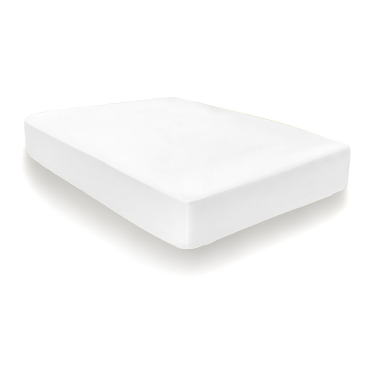 Appletree Bedding 100% Cotton Percale Fitted Sheet, Double (4'6), White
