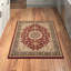 Tapis oriental bourgogne / moutarde / noir Shiflett-71643271