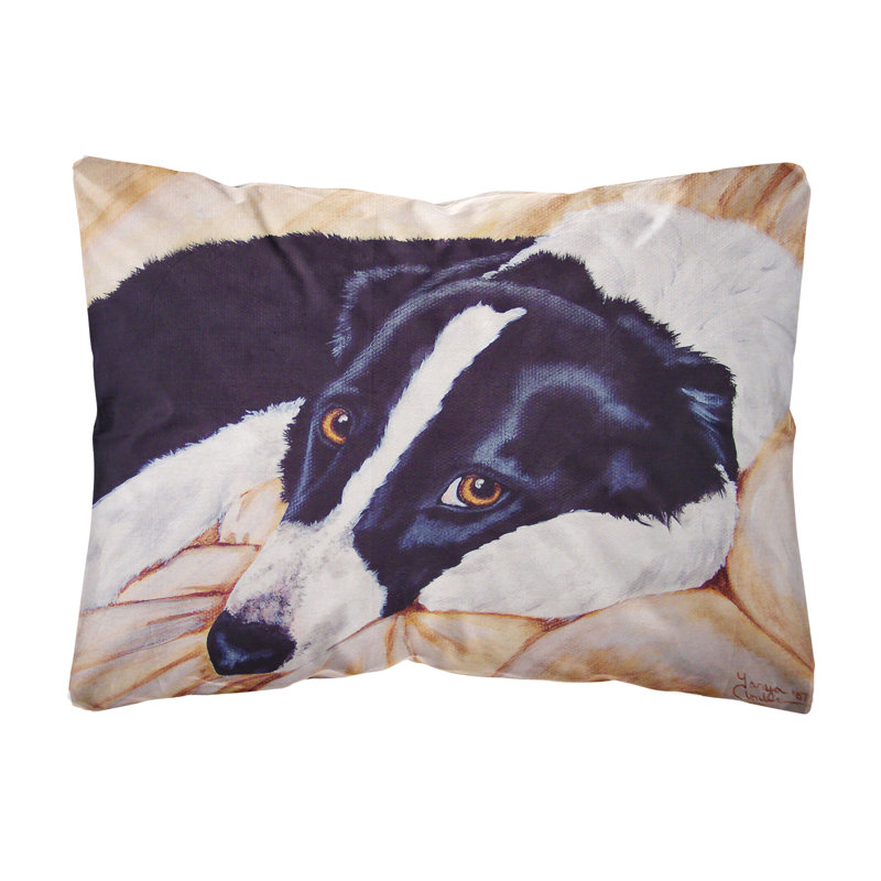  Coussin décoratif intérieur / extérieur Naptime Border Collie