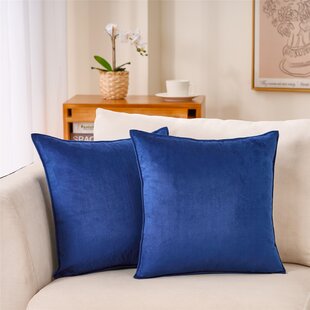 https://assets.wfcdn.com/im/26401755/resize-h310-w310%5Ecompr-r85/1887/188746136/quesha-velvet-pillow-cover-set-of-2.jpg