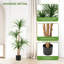 Arrangement