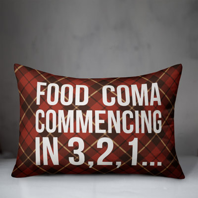 Plaid Reversible Throw Pillow