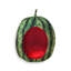 Lit pour chien Tucker Murphy Pet ™ Melon d'eau