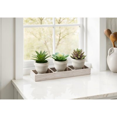 Artificial Plant