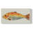 Fanciful Fish II- Gallery Wrapped Canvas -Ready to Hang-1905258838