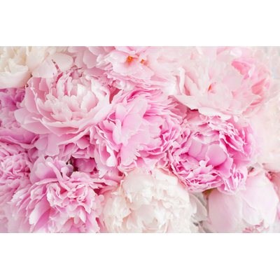Beautiful Peony Flower Background by OlgaMiltsova - Wrapped Canvas Print