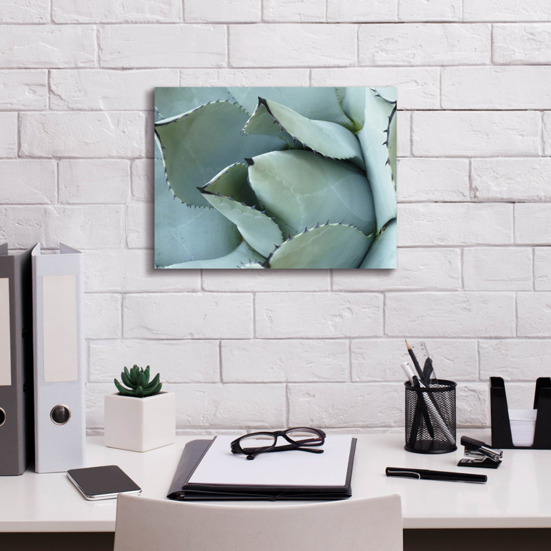 «Epave Graffiti» «Agave Détail 1» par Brittany Evans, art mural sur toile, 16 po x 12 po