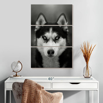 Brampt Serious Siberian Husky