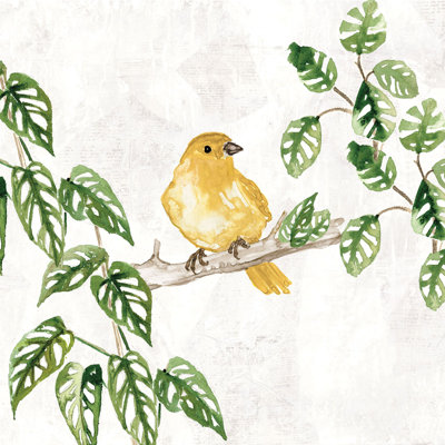 Little Tropical Bird On Branch - Wrapped Canvas Painting
